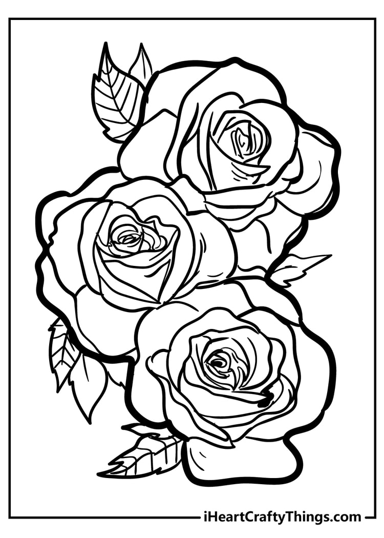 Printable Rose Flower Coloring Pages