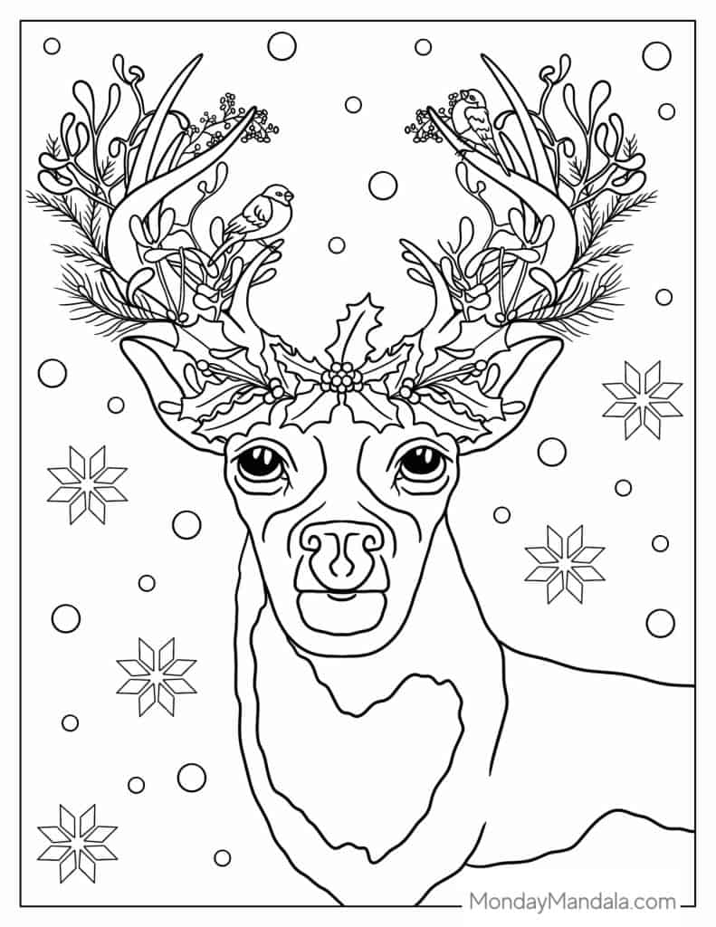 42 Reindeer Coloring Pages Free PDF Printables 
