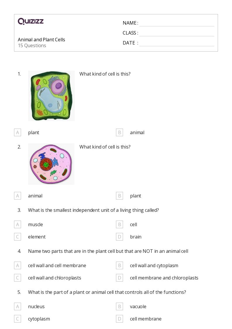 50 Plant And Animal Cell Worksheets On Quizizz Free Printable Worksheets Library 50 Plant And Animal Cell Worksheets On Quizizz Free Printable Worksheets Library