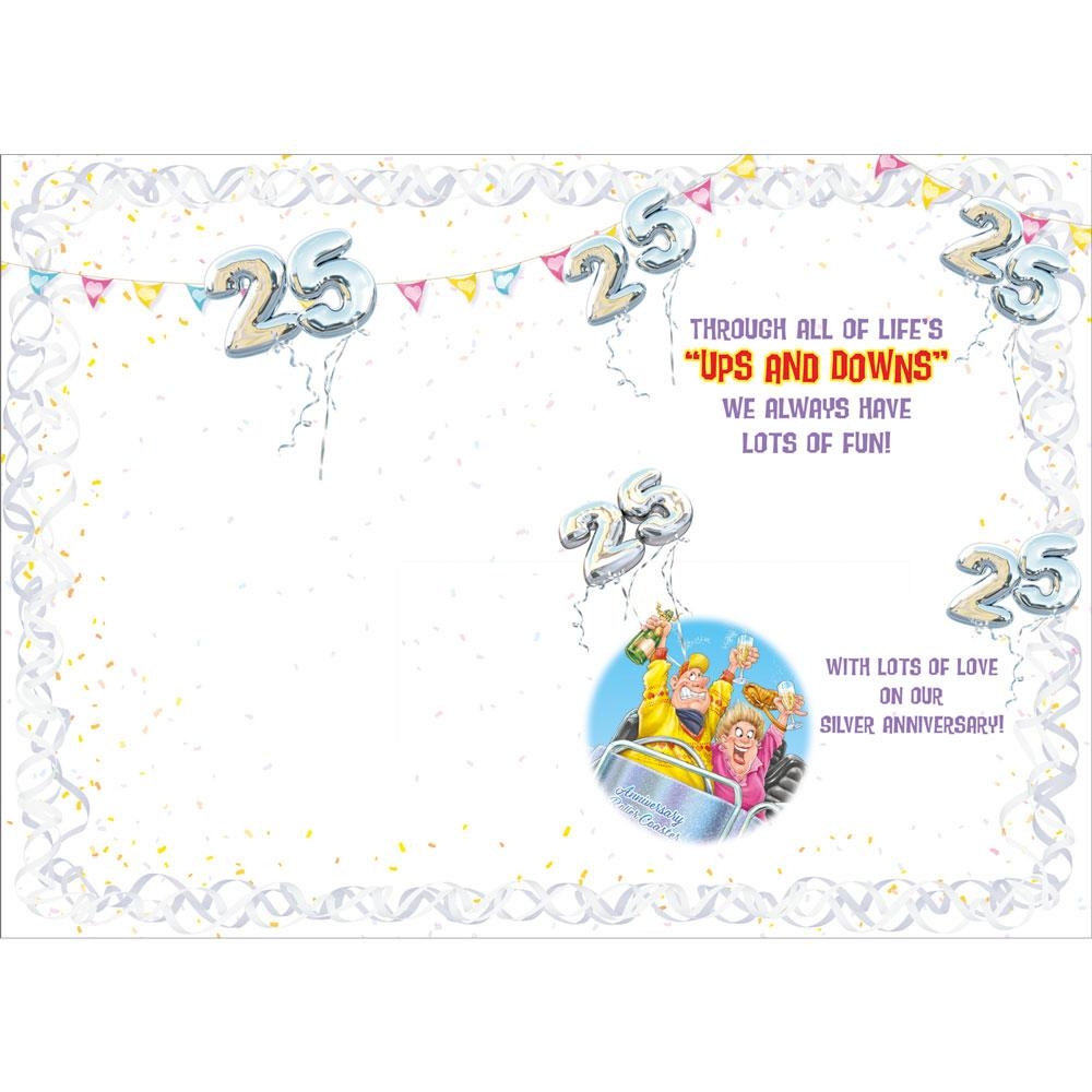 A653 AA The Ups And Downs Of 25 Years Of Marriage 25th Silver Anniversary Card For A Wife 
