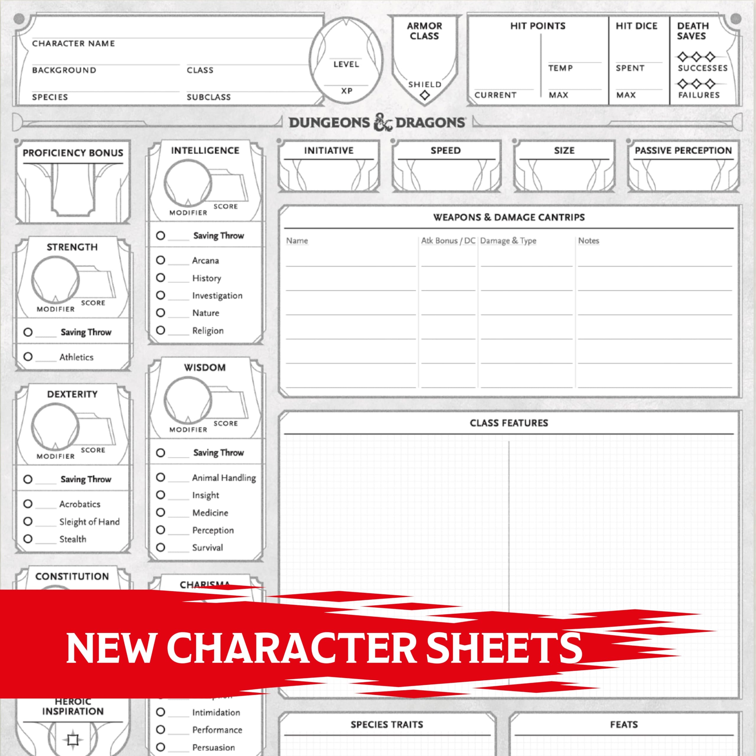 Dungeons And Dragons Character Sheet Printable