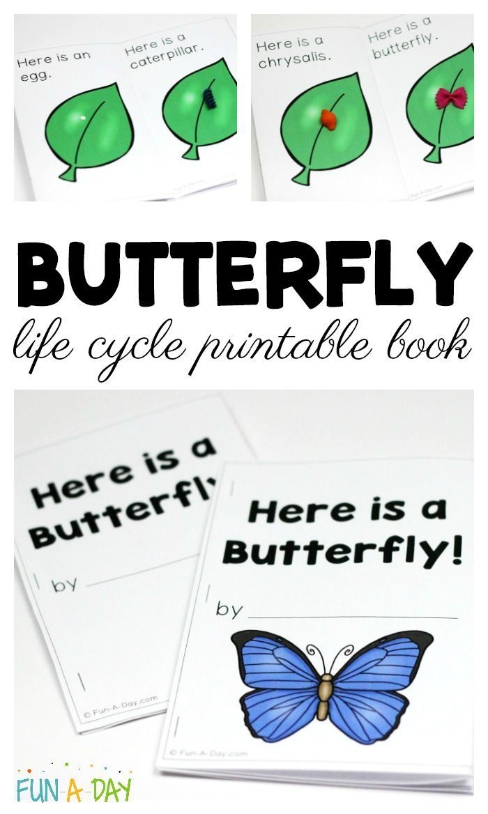Butterfly Life Cycle Printable Book