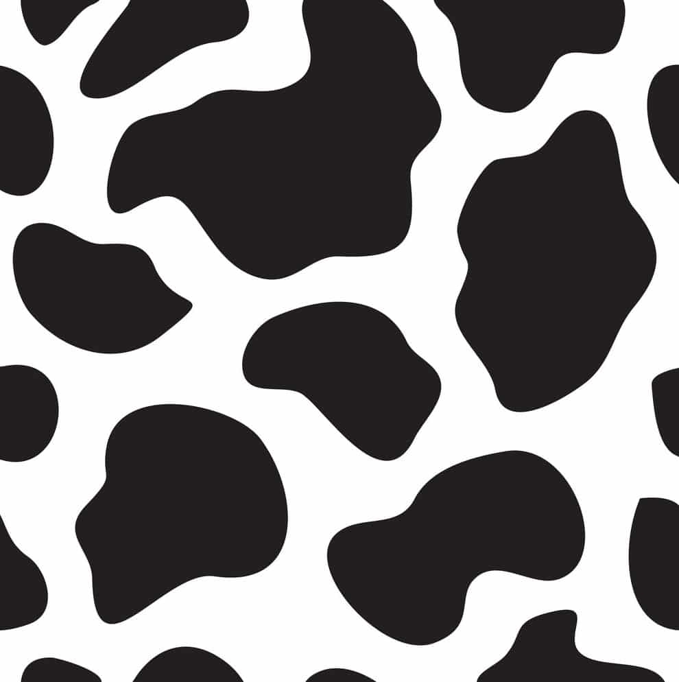 Chick Fil A Cow Appreciation Day Dress Like A Cow Get Free Food 2019 