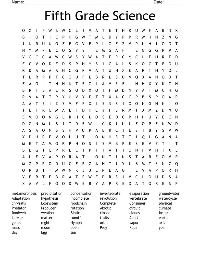 5Th Grade Free Printable Word Searches