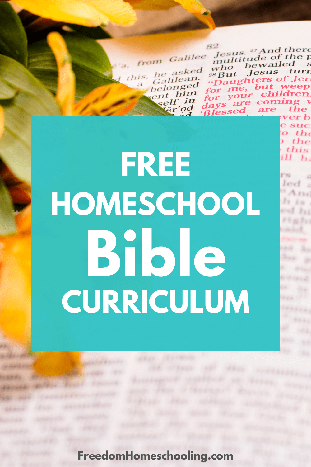 Free Homeschool Bible Curriculum Freedom Homeschooling