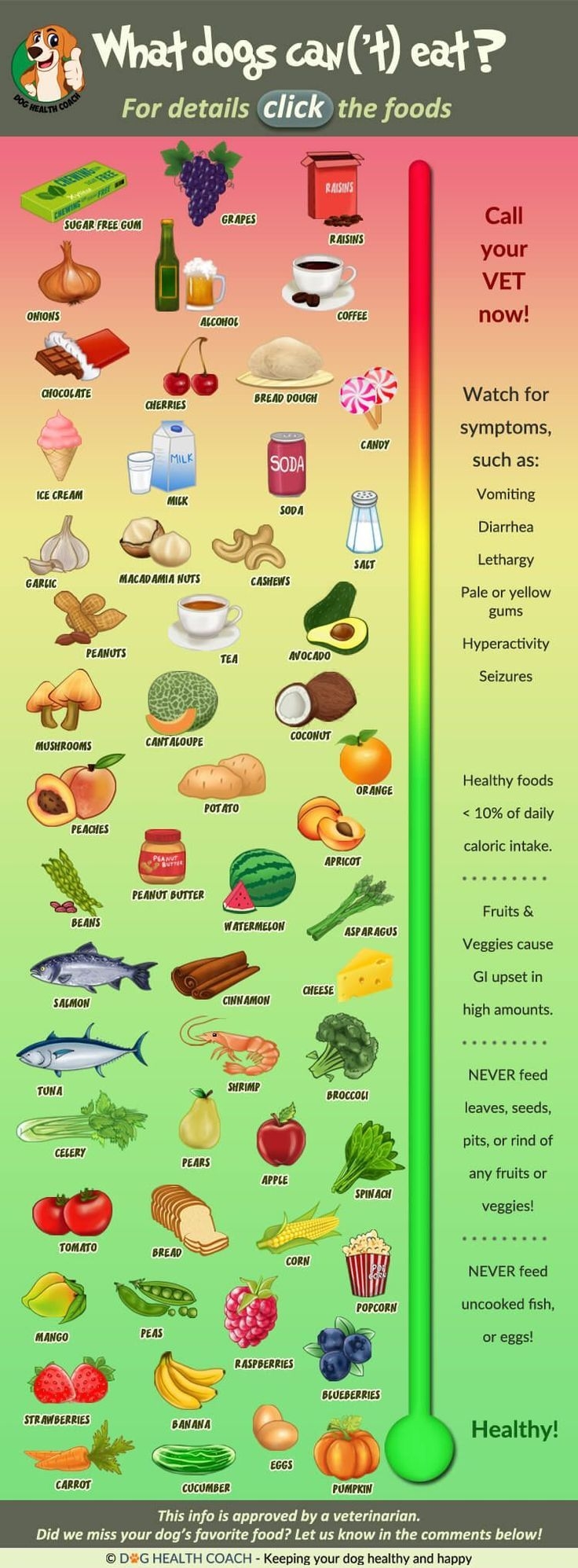 Printable List Of Foods Your Dog Should Never Eat