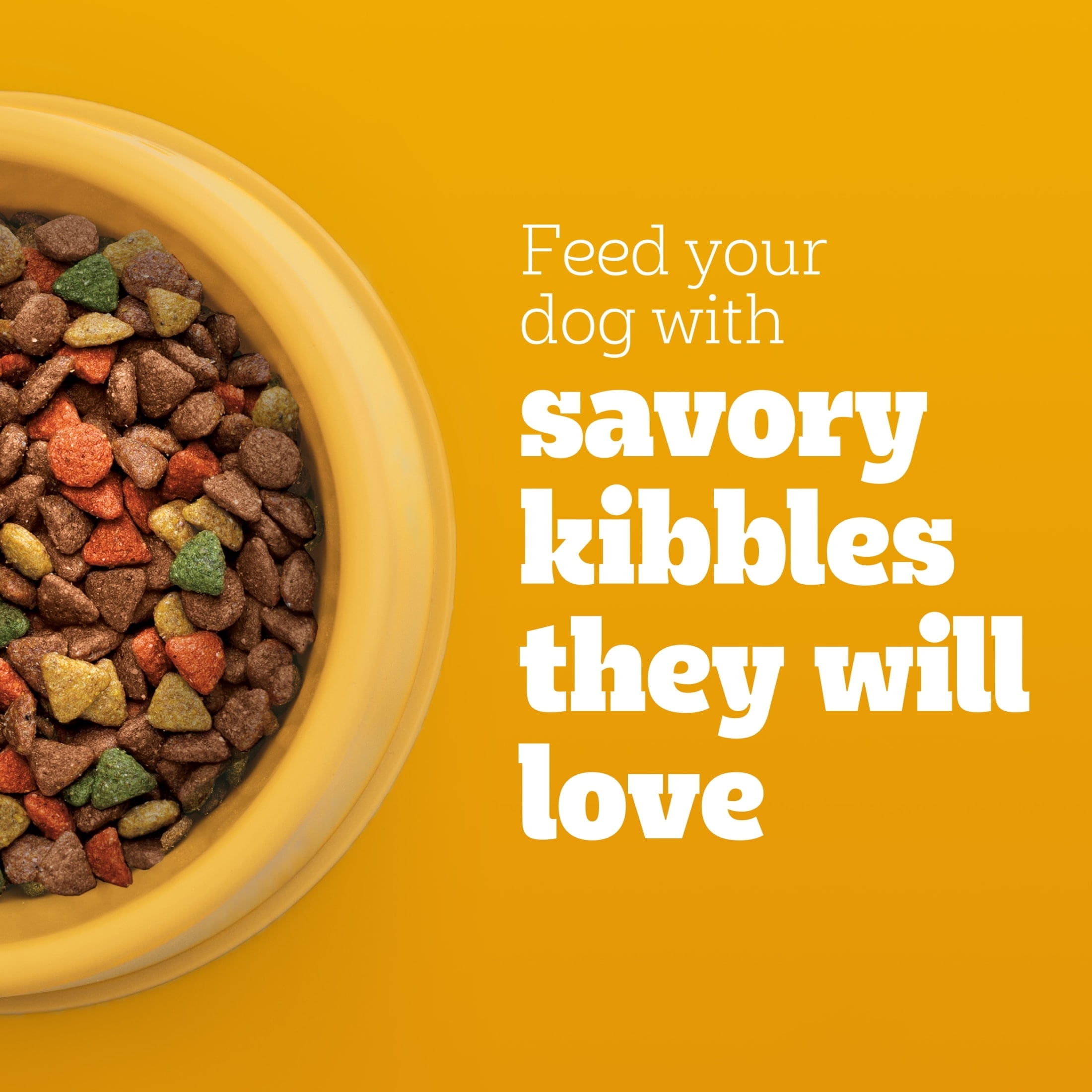 Printable Offers Pet Coupons Purina Rachael Ray