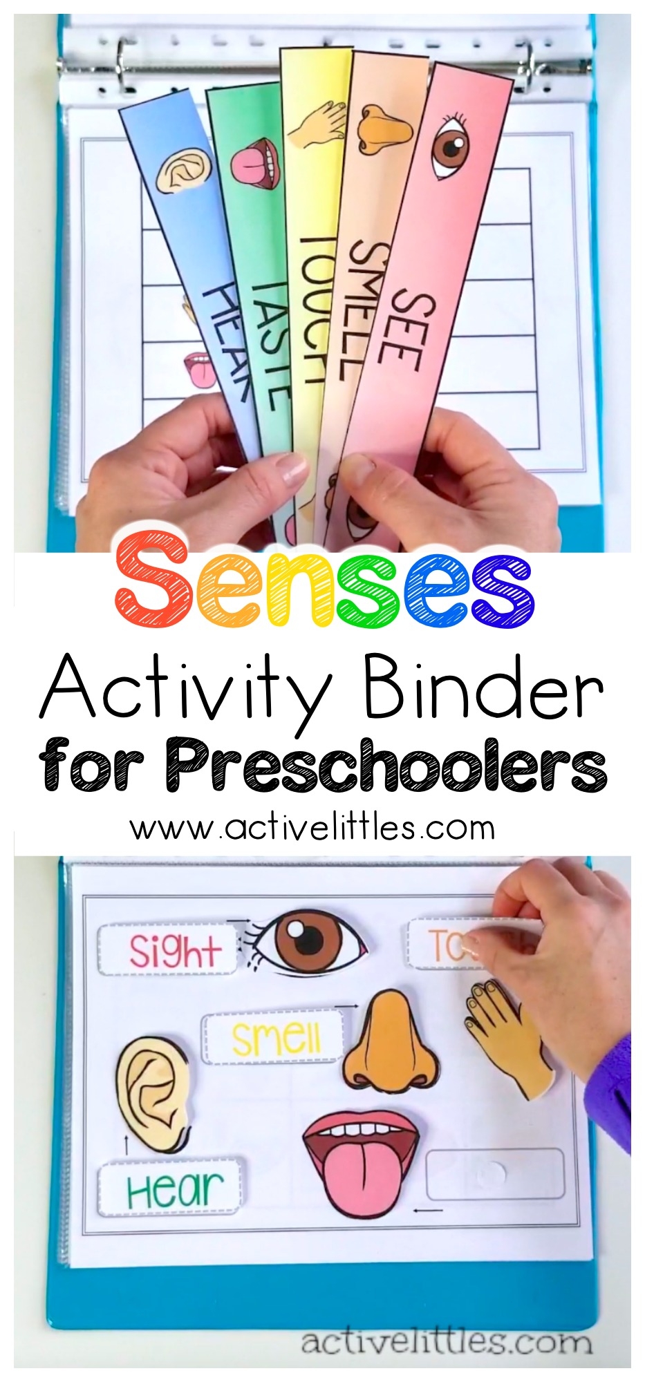 Toddler Learning Binder Free Printables