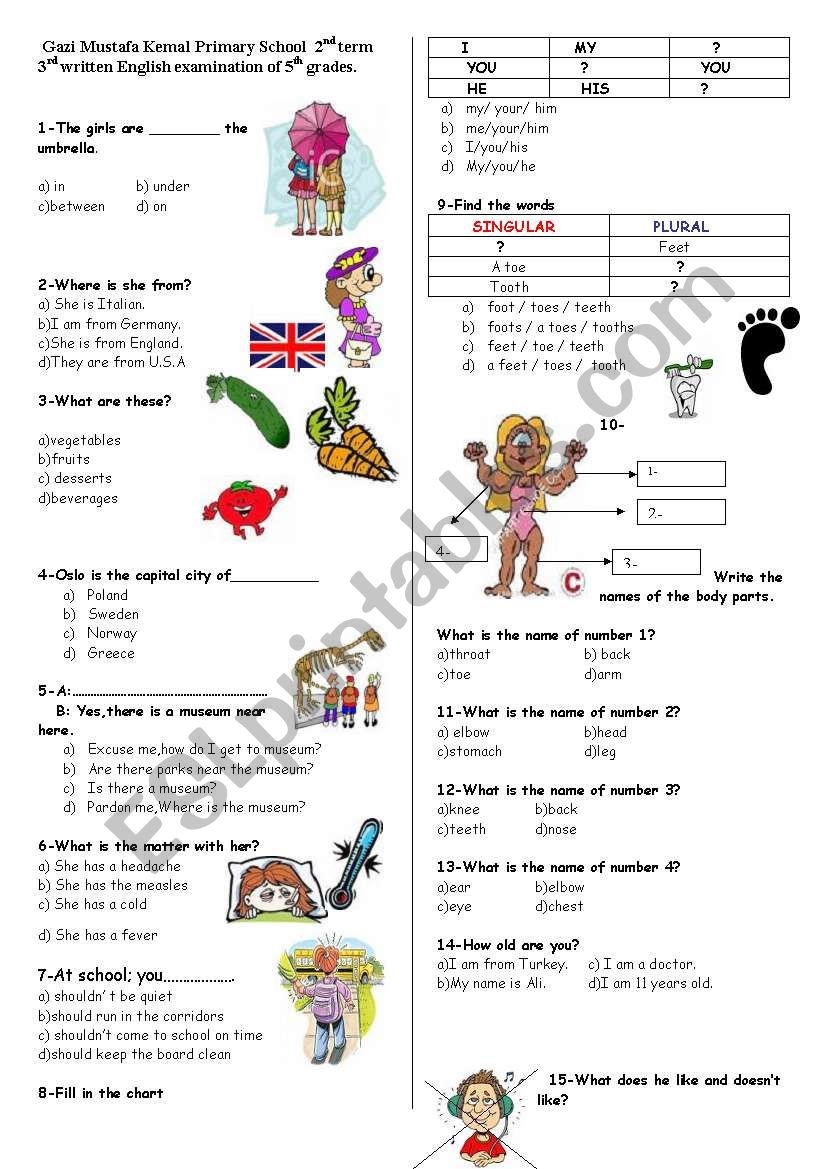Test For Beginners ESL Worksheet By Spring