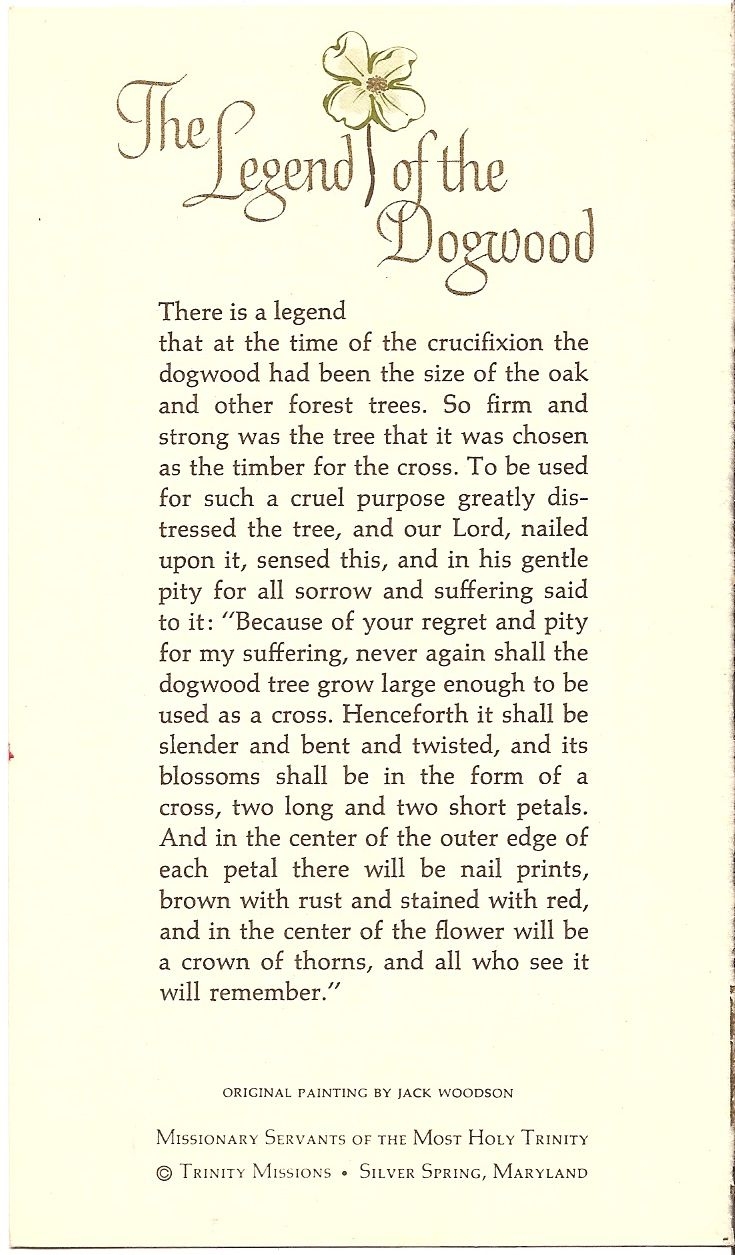 The Legend Of The Dogwood Tree 