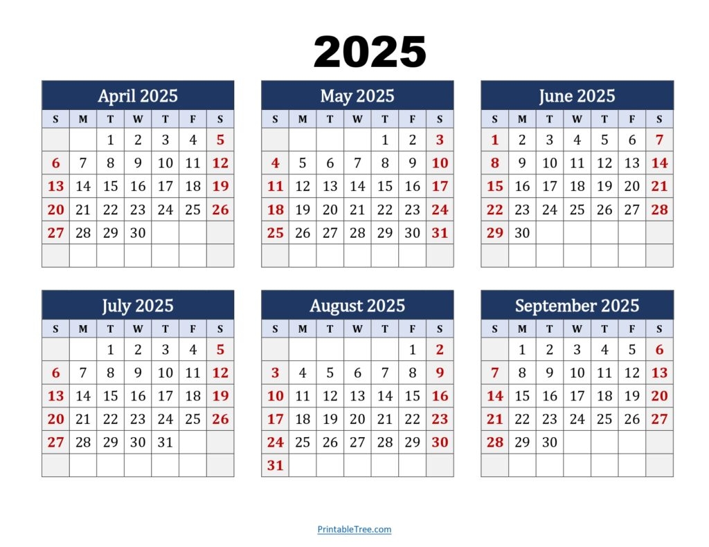 6 Month Calendar Printable 2025