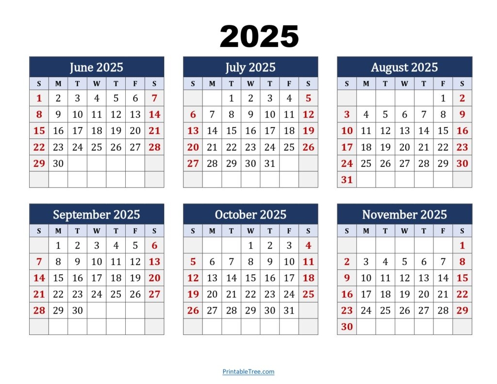 Six Month Calendar 2024 2025 Printable PDF 6 Months Calendar