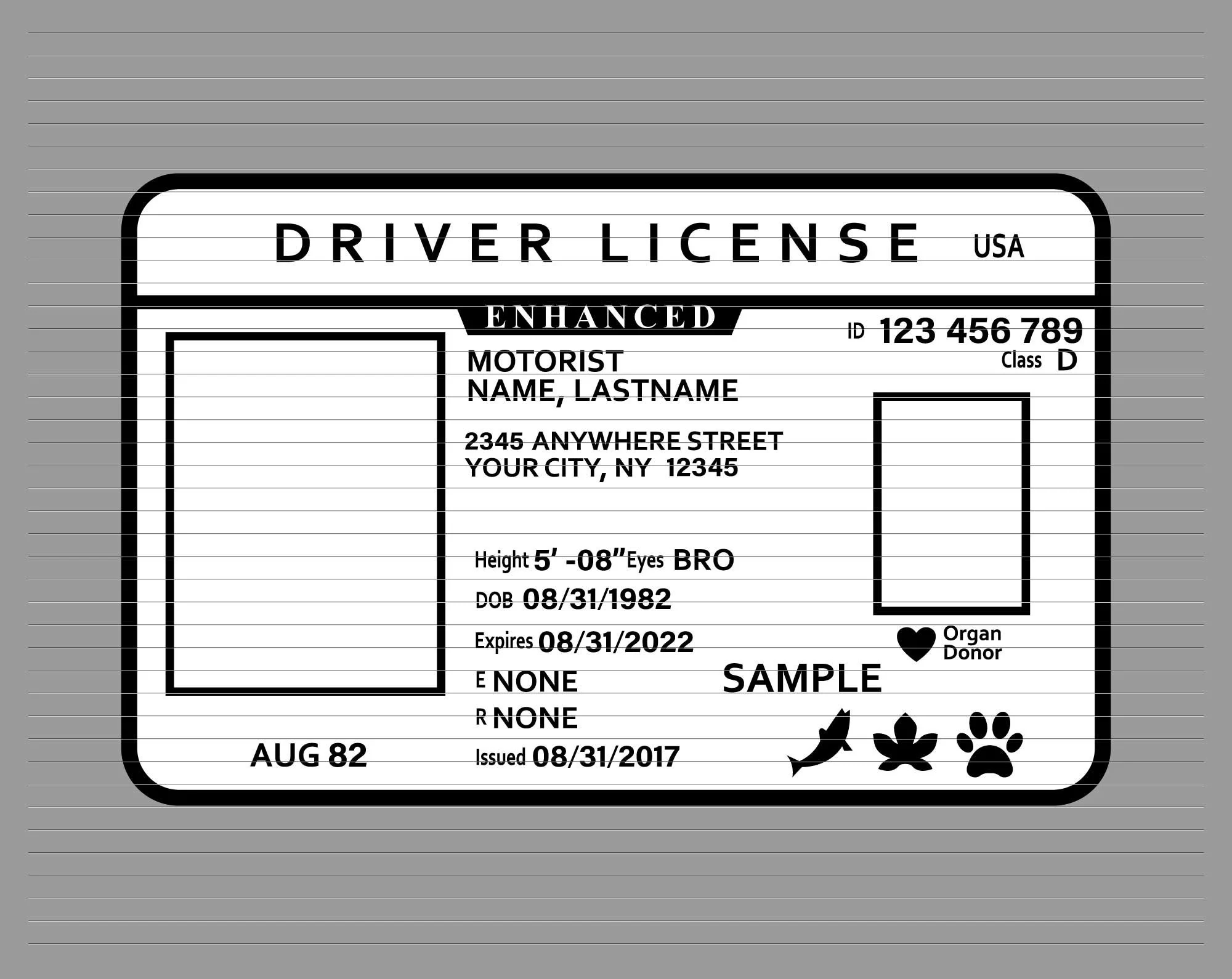 Driver Licence Svg Driver License Id Svg Id Card Identification Svg Identification Card Drive License Drive Svg Driving Clipart D926 Etsy