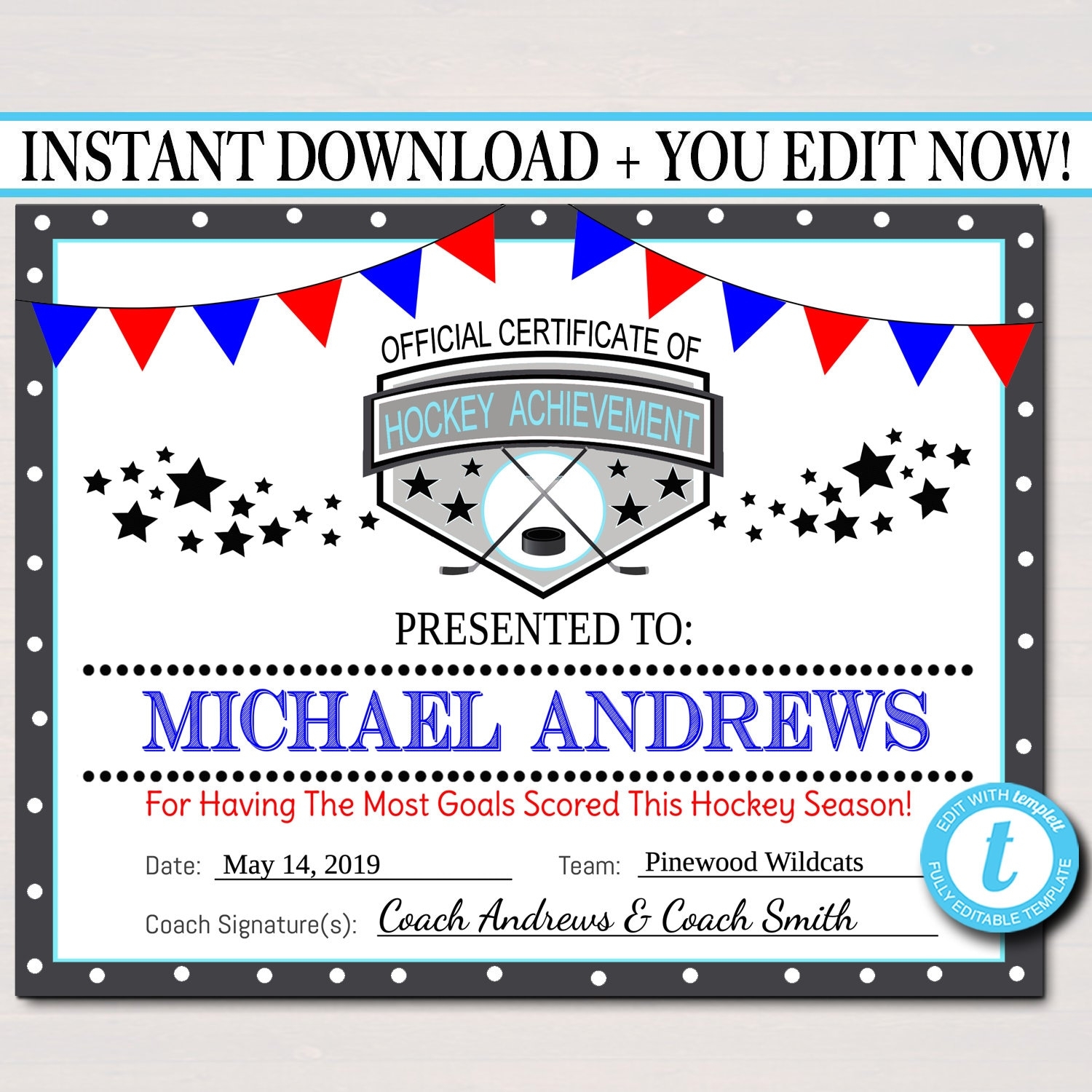 EDITABLE Hockey Award Certificates INSTANT DOWNLOAD Team Hockey Awards Hockey Party Printable Printable Award Sports Certificates Etsy
