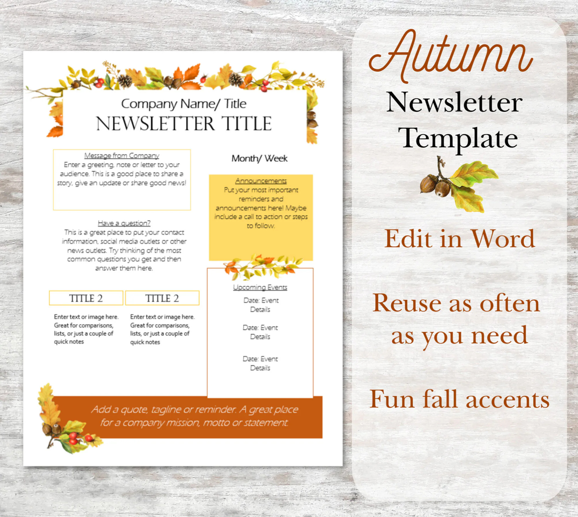 Editable Newsletter Template MS Word Newsletter Template Business Newsletter Fall Newsletter Newsletter Word School Newsletter Etsy