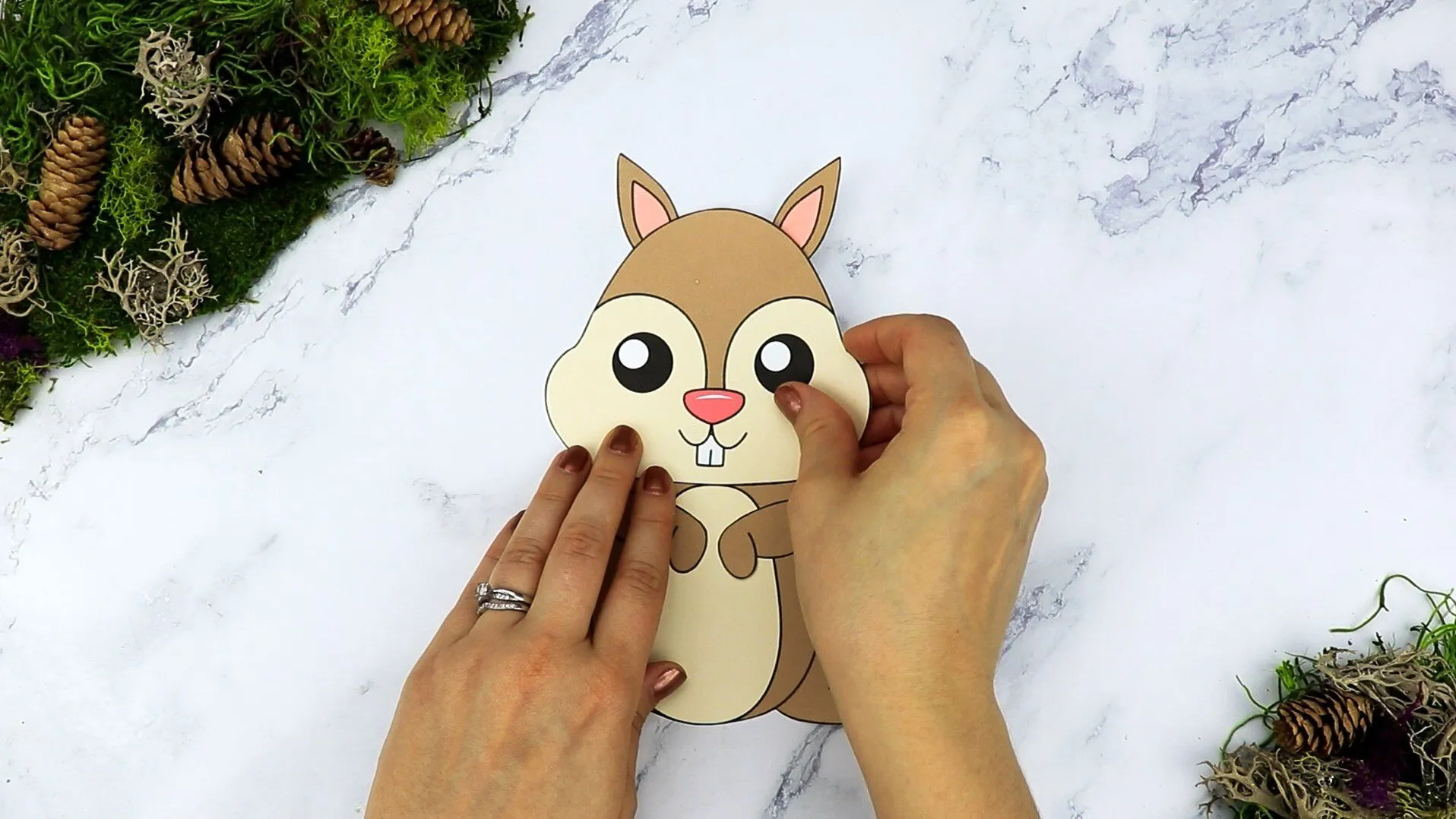 Free Printable Cut And Paste Squirrel Craft For Kids Simple Mom Project