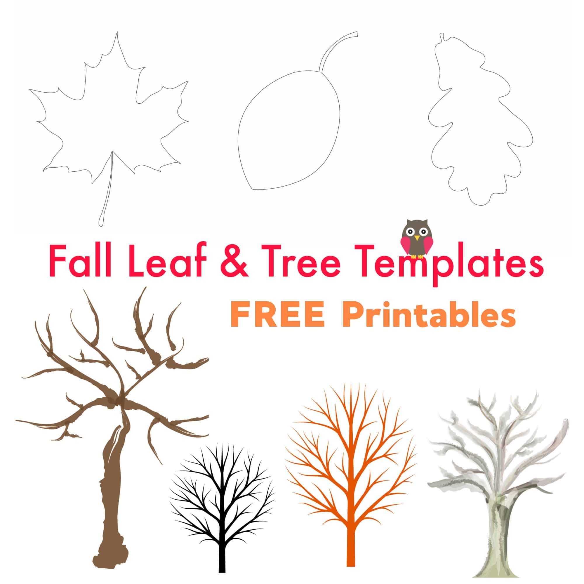 Free Printable Fall Leaf And Tree Templates Emma Owl Free Printable Fall Leaf And Tree Templates Emma Owl