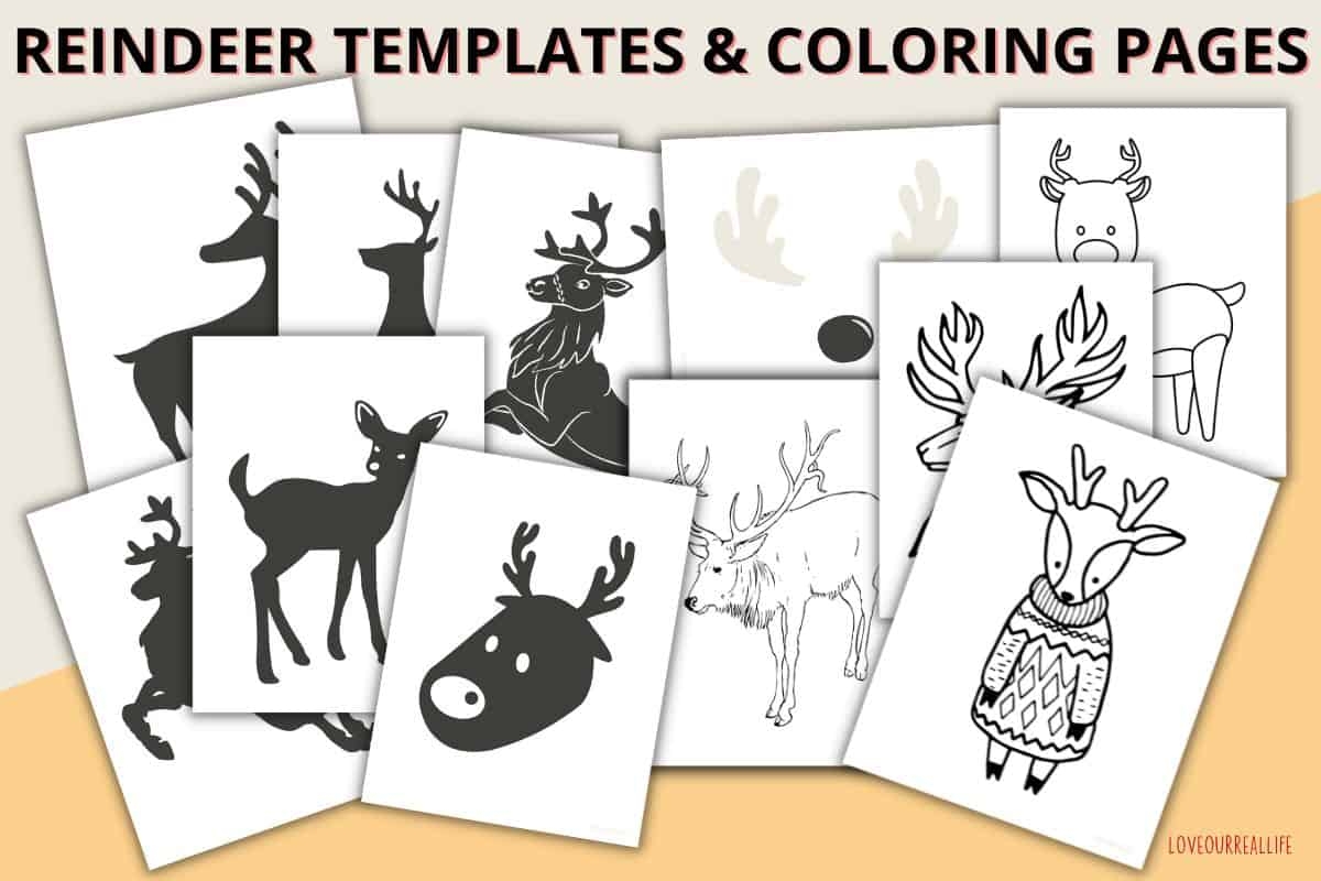 Free Printable Reindeer Craft Templates