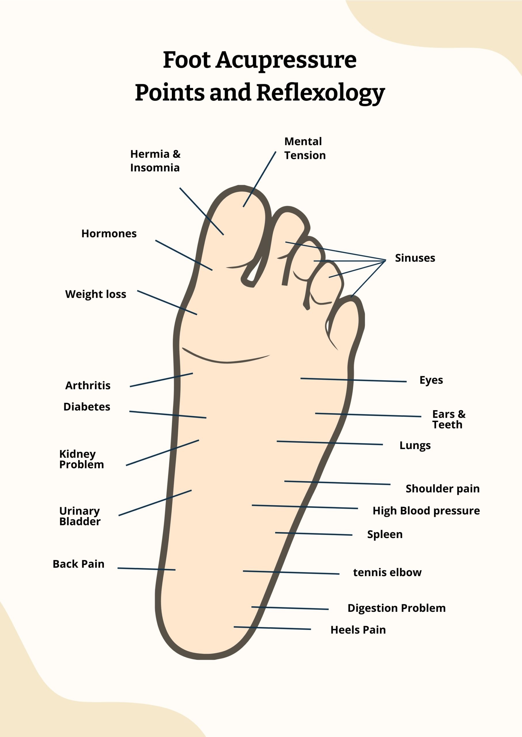 Free Printable Reflexology Brochure Templates Free Printable Reflexology Brochure Templates