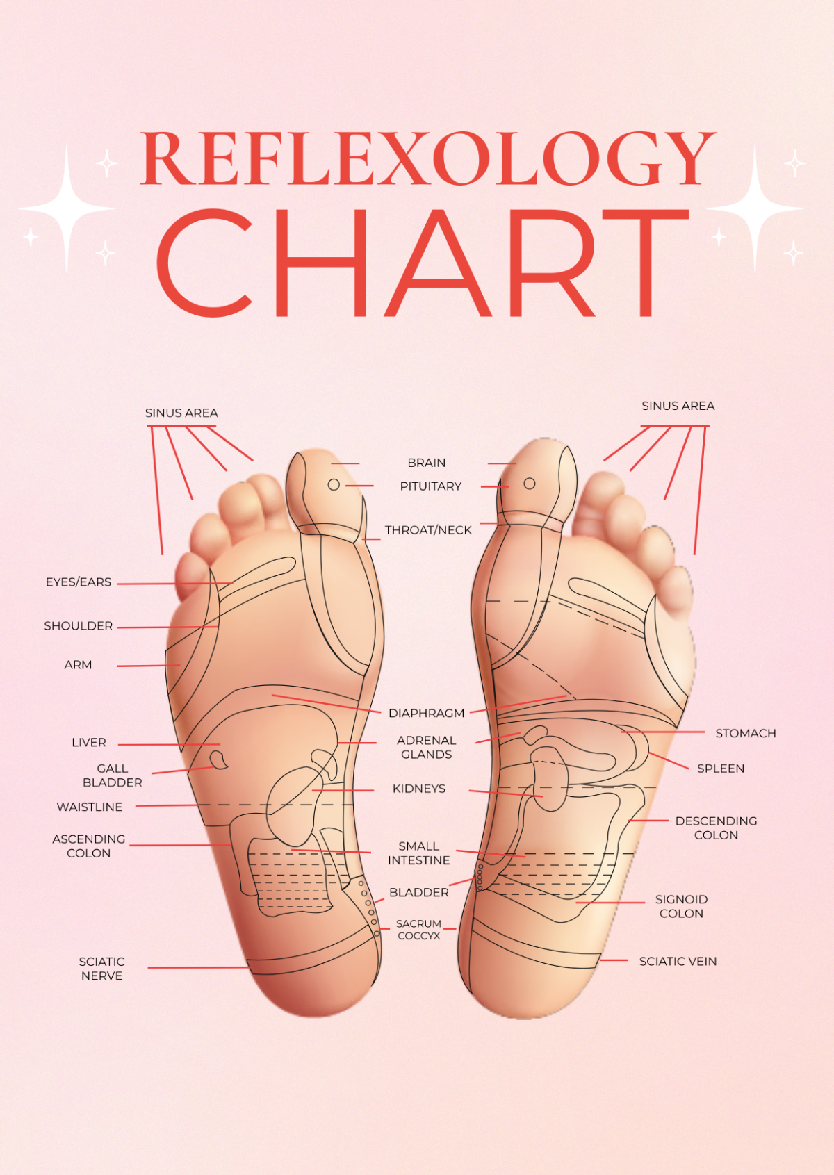 Free Reflexology Chart Templates Editable And Printable Free Reflexology Chart Templates Editable And Printable