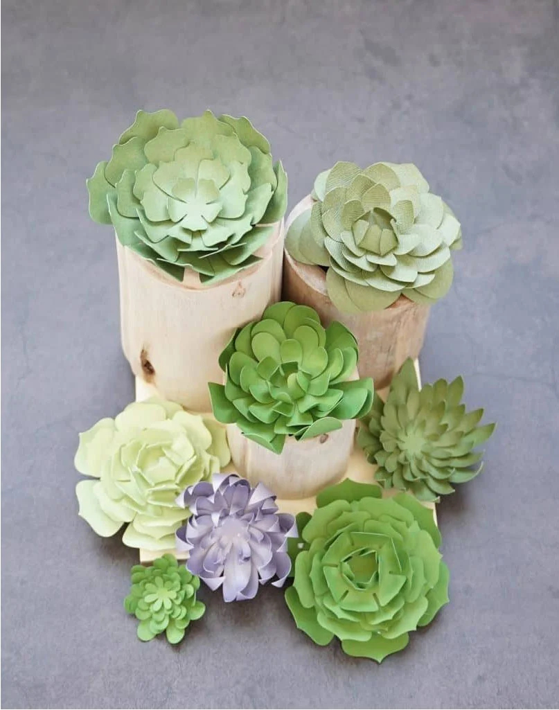 Free Succulent SVG And Cactus Template Files