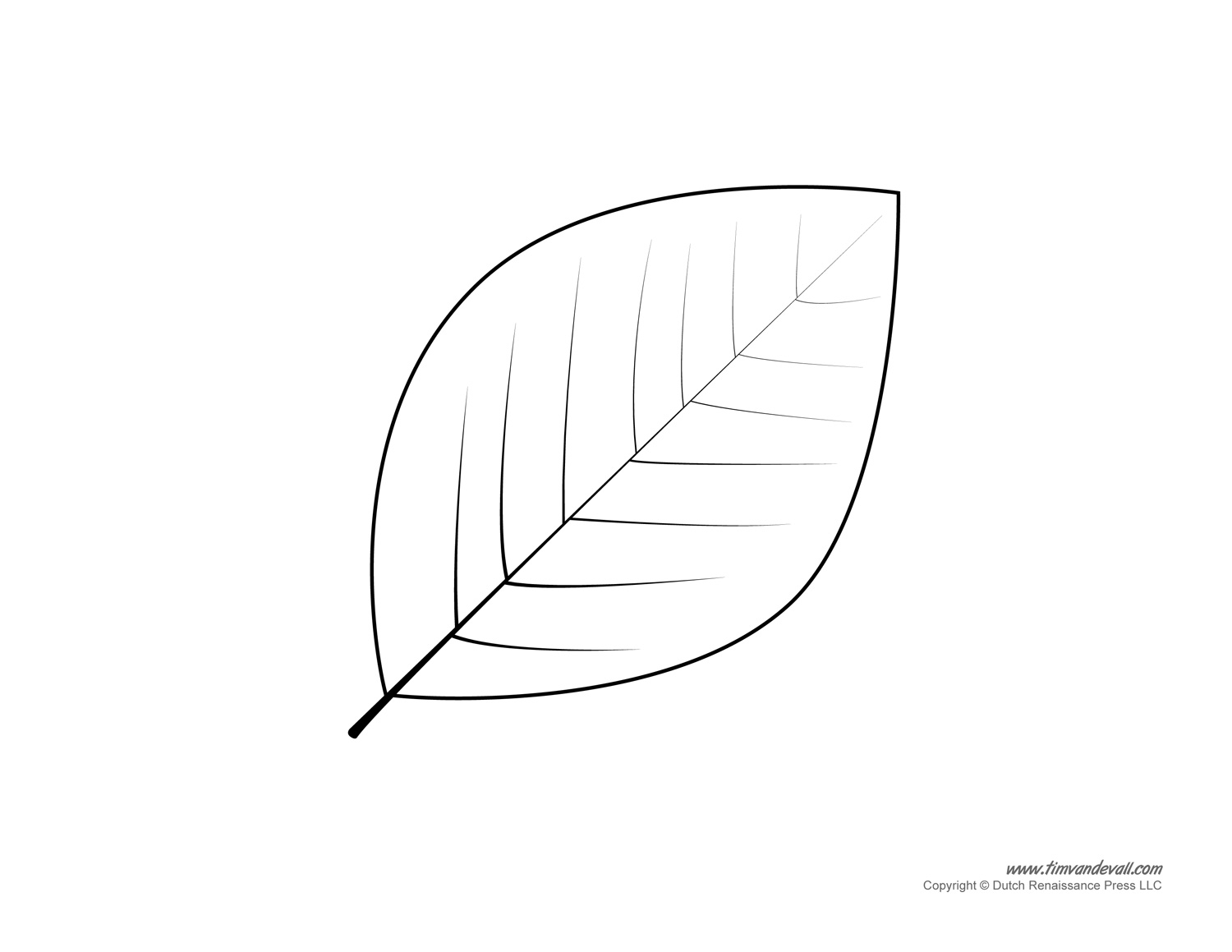 Free Printable Paper Leaf Templates