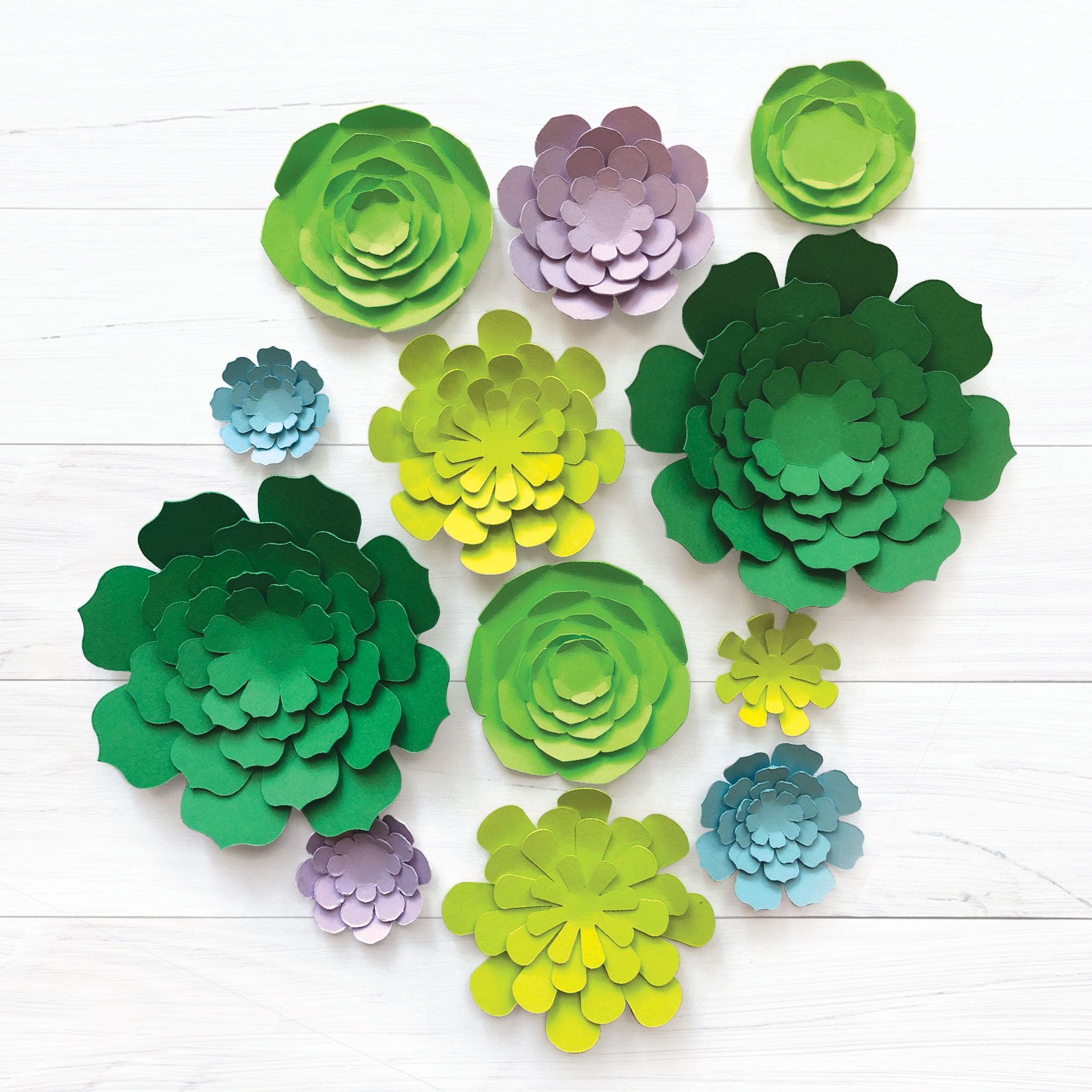 Free Printable Paper Succulent Templates