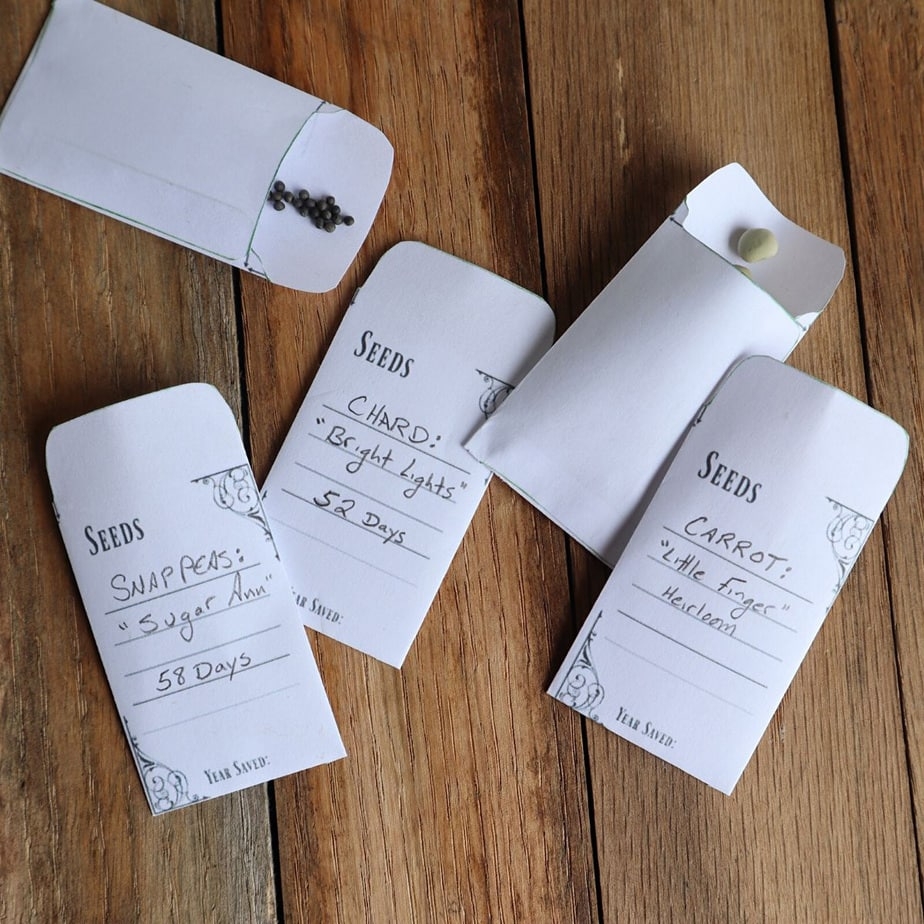 Free Printable Seed Packet Templates